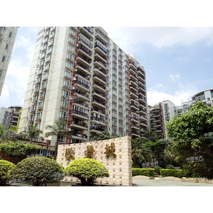 欧景城 精装4房满二无税 实验 送家私电器,深圳龙岗龙岗中心城欧景城