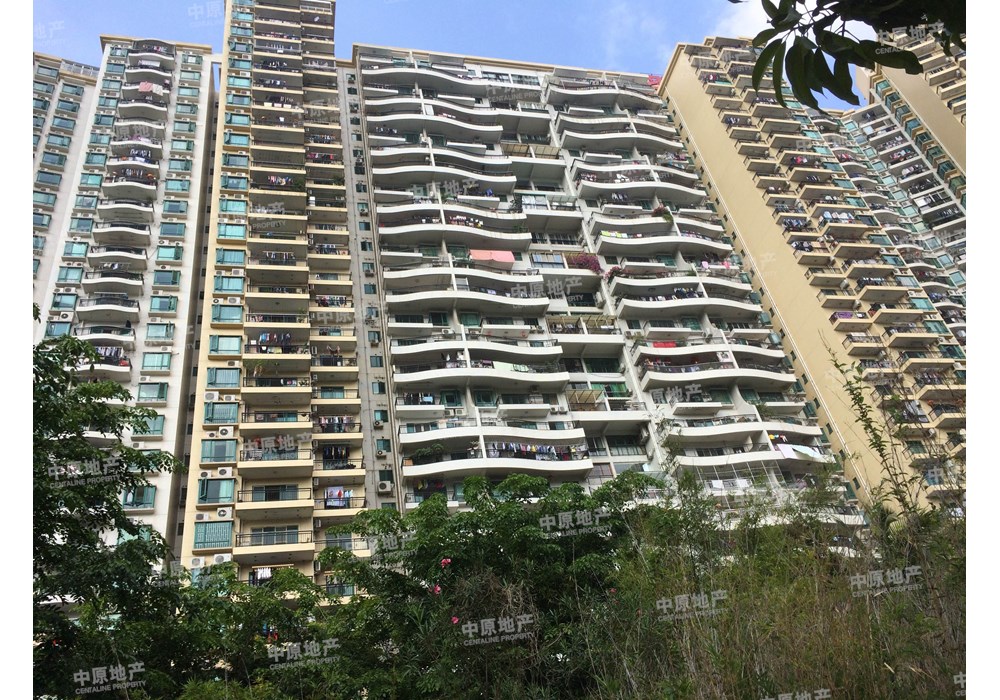 如对此房源不满意可联系本人说出您的需要